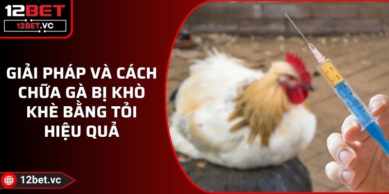 Giải Pháp Và Cách Chữa Gà Bị Khò Khè Bằng Tỏi Hiệu Quả 1 Giải Pháp Và Cách Chữa Gà Bị Khò Khè Bằng Tỏi Hiệu Quả