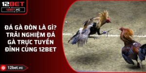 Đá Gà Đòn Là Gì? Trải Nghiệm Đá Gà Trực Tuyến Đỉnh Cùng 12BET 17 Đá Gà Đòn Là Gì? Trải Nghiệm Đá Gà Trực Tuyến Đỉnh Cùng 12BET