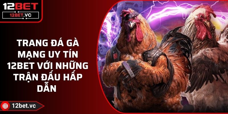 Trang Đá Gà Mạng Uy Tín 12BET Với Những Trận Đấu Hấp Dẫn 1 Trang Đá Gà Mạng Uy Tín 12BET Với Những Trận Đấu Hấp Dẫn